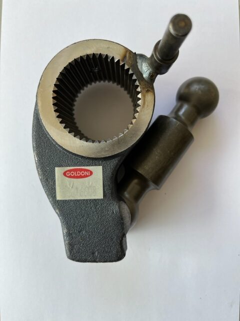 Biella Sollevatore Goldoni