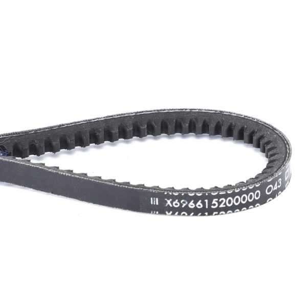 Cinghia Trapezoidale