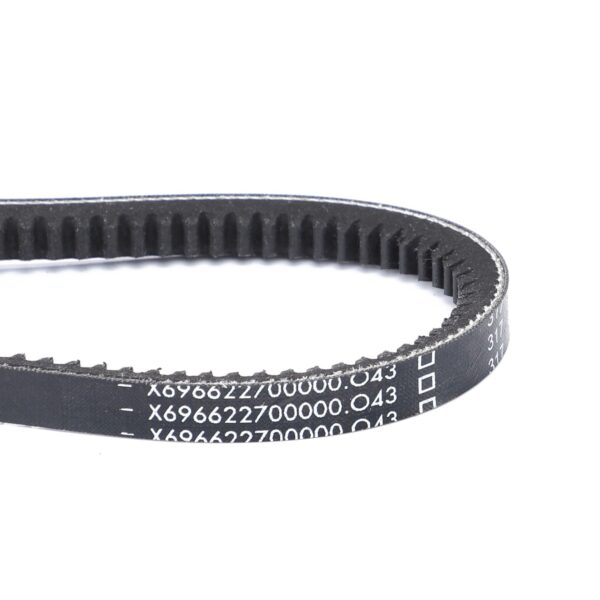 Cinghia Trapezoidale