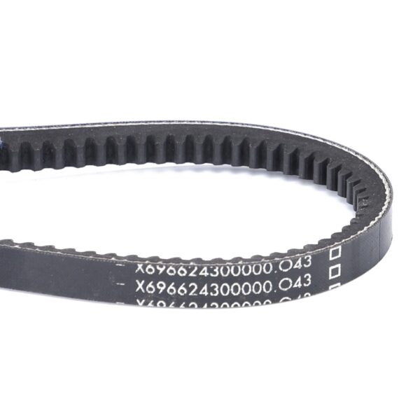 Cinghia Trapezoidale