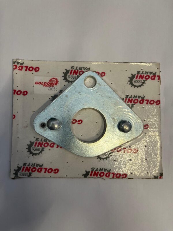 Flangia Coperchio PDF Completa Goldoni