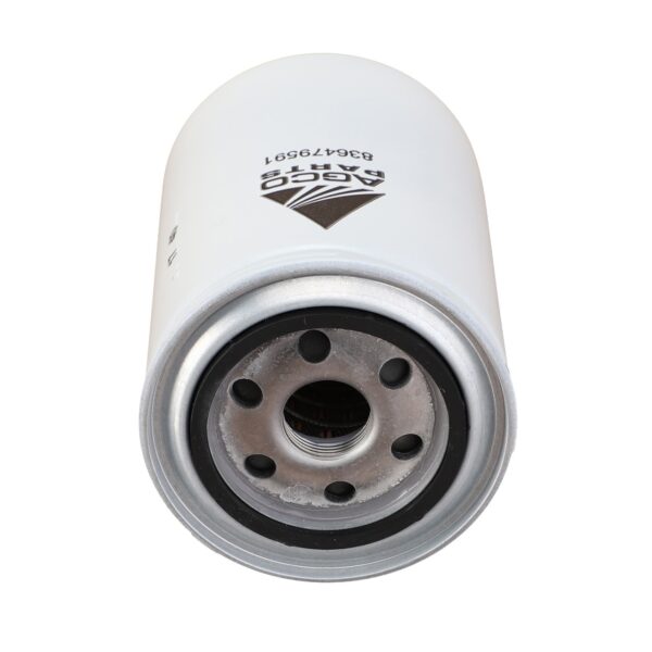 Filtro Olio Motore Fendt